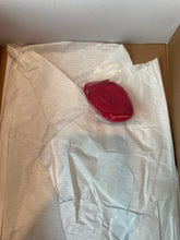 Load image into Gallery viewer, Jordan 1 “Homage to Home”
