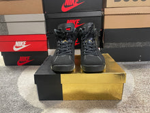 Load image into Gallery viewer, Jordan 6 “DMP”
